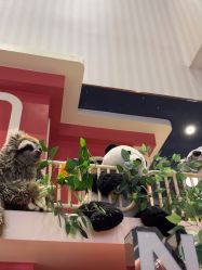 -奈尔宝家庭中心·亲子餐厅(华采天地店)