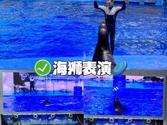 -合肥海洋世界