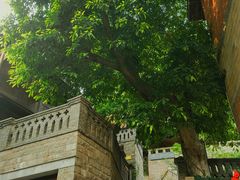 -重庆十八梯传统风貌区