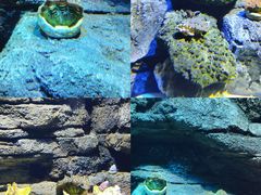 -沈阳海洋探索中心