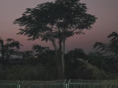 -晋江动车站