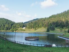 -武陵山森林公园