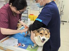 -美联众合动物医院·24h京西诊疗中心