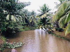 -白沙门生态公园