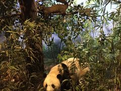 -陕西自然博物馆