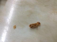 金顺韩国料理(2号店)-金顺碳烤肉(1号店)