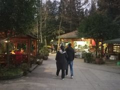 -青城甲(青城山店)