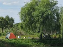 -广富林郊野公园