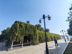 -汉口江滩-五福广场