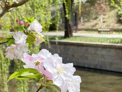 -海棠花溪(元大都城垣遗址公园)