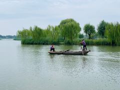 -白洋淀景区