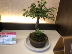 -澜沧古茶·商务茶馆(萧山人民广场店)