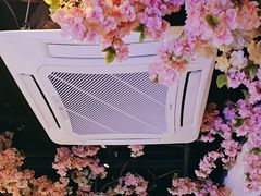-徽镇小厨·经典徽菜(马连道店)