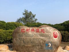 -霞山观海长廊