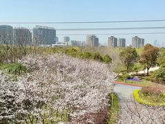 -外高桥保税区南(地铁站)