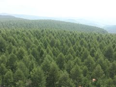 -塞罕坝国家级自然保护区