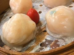 金牌虾饺皇-点都德(北京路贰店)