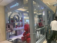 -ROSEONLY诺誓(国际广场购物中心店)