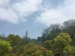 -巢湖姥山岛