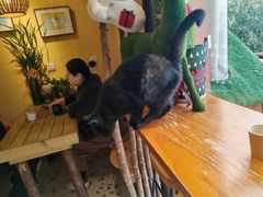 -萤火虫咖啡(后海店)