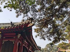 -沈阳市东陵公园