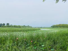 -野鸭湖国家湿地公园