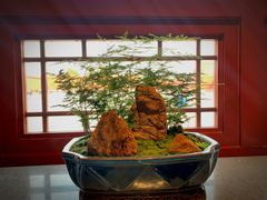 -故宫餐厅(景运门店)