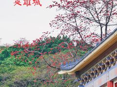 -广州中山纪念堂