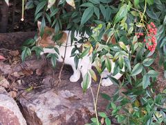 -苏州河梦清园环保主题公园