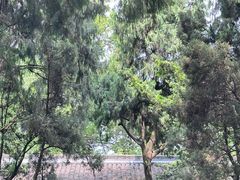 -成都武侯祠博物馆