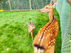 -杭州开元森泊度假乐园
