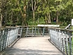 -西湖风景区-江洋畈生态公园