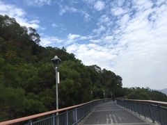 -金鸡山公园