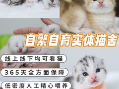 -lincat·猫舍(广州店)