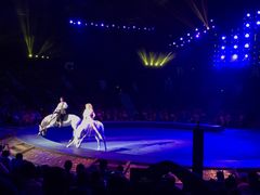 -珠海横琴长隆《卡卡虎奇遇记》