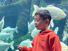 -哈尔滨波塞冬海底世界