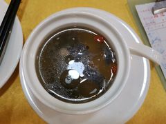 -鸿达渔港