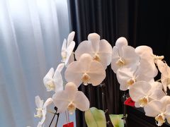 -浩运·海鲜青岛菜·海胆水饺(石老人店)