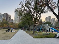 -新江湾城公园