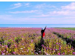 -青海湖国家重点风景名胜区