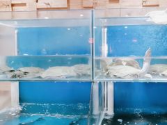 -小湘旺臭鳜鱼(百子湾店)