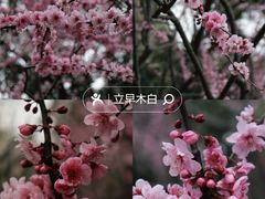 -静安雕塑公园