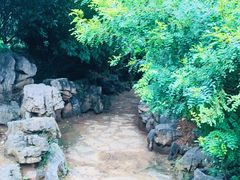 -洛阳市牡丹公园