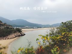 -桃花岛风景旅游区