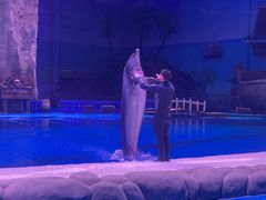 -华夏文旅海洋公园