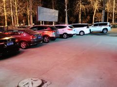 -金台阶鱼馆(于桥水库店)