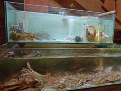 -樱之盛宴·蟹料理海鲜自助(前进大街店)