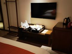 -九华山聚龙大酒店