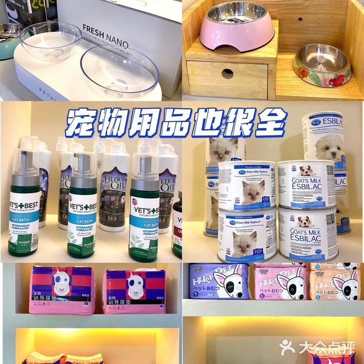 重庆超大明星宠物店｜毛孩子的快乐星球 