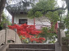 -秋霞圃